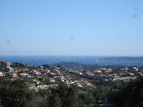DSC01462