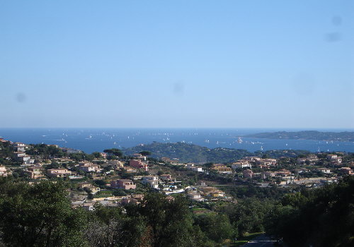 DSC01462